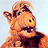 alf11111 fotka