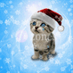 mojko393 fotka