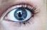 Livia733 fotka