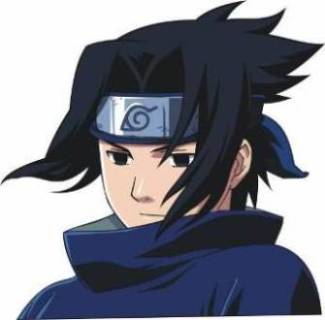 sasuke10 fotka
