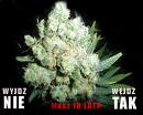 jackherer1 fotka