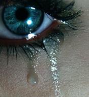 SgtBlueEyed fotka