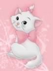 mycats fotka