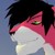 NightWolf fotka