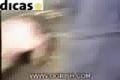 svinka vs motorova pila