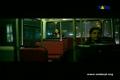PAUL VAN DYK - CRUSH