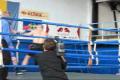 BOXER Z ALBANIE