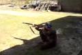 Samozarjadnaja vintovka Tokareva(SVT-40)v akcii