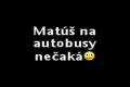 Matuš nerad čaka
