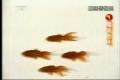 Golden Fish