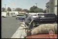 Deer Hunter