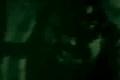 Soulfly - Carved Inside