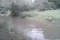 Skok do vody 2