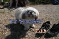 MY blog