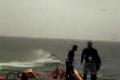 Windsurfer