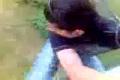 BAFO