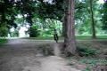 mihal /bmxrider/ - 360