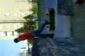 marek