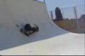 INvertLINE funny