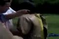 sumo-danda a domca(priprava)