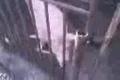 Prison Break diel1.