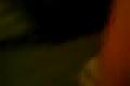 DNVaBlack Wasser cast2