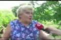 teta madarka