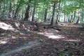 Svidnik Bikers 4