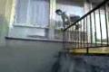 crash parkour dca2