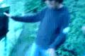 tanecek