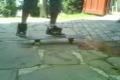 trik na sk8