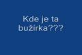 Moje veverka Lucínek