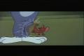 Tom and Jerry 11