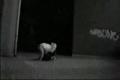David Belle