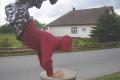Crazy Jumpers-Movie