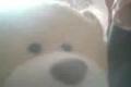 besny macko 2