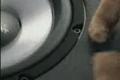 Blaupunkt plyšáci