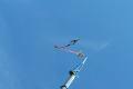 Bungeejump