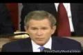 beat box-bush