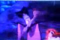 Aladin 1