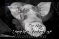 Prasiatka