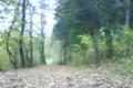 DOWNHILL CHLMEC 2