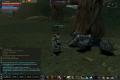 Lineage 2 Gladiator human V.Č