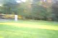 fotbal