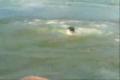 Jumps