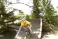 pn animal bmx
