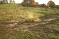 Bunker crash