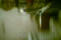 prsi prsi