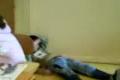 Looser 1