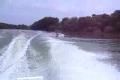 wake